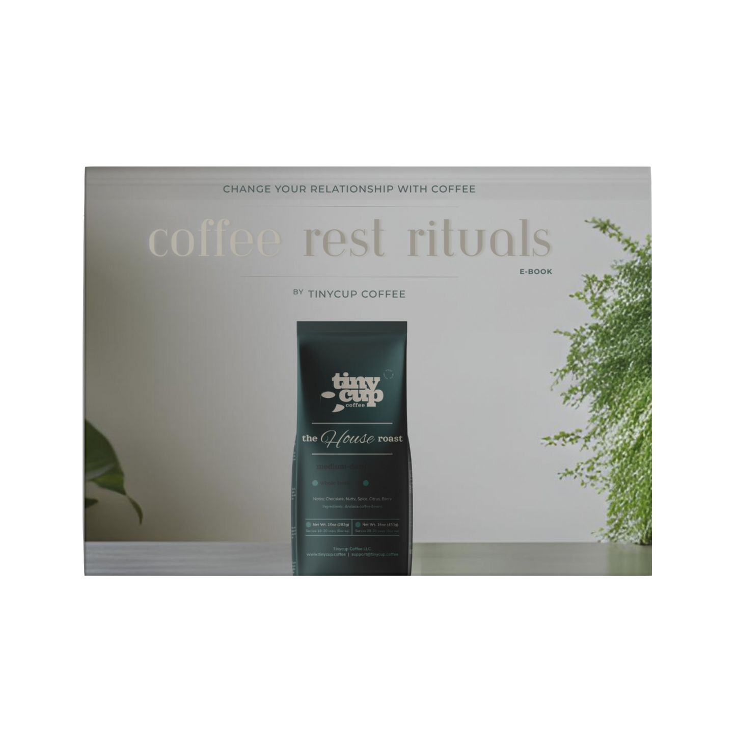 Tinycup Coffee Rest Rituals